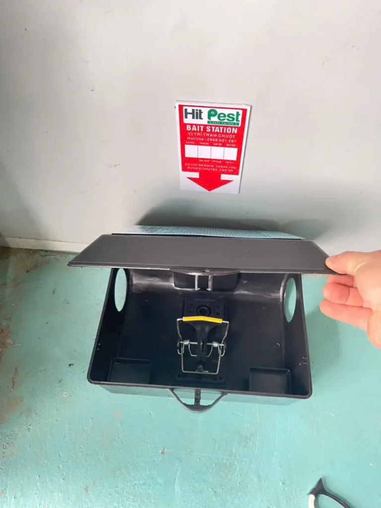 Cận cảnh hộp trạm bả chuột mở nắp và nhãn vị trí HIT PEST trên tường