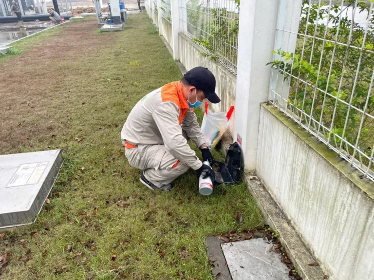 Kỹ thuật viên HIT PEST kiểm tra hộp trạm kiểm soát chuột dọc hàng rào công trình