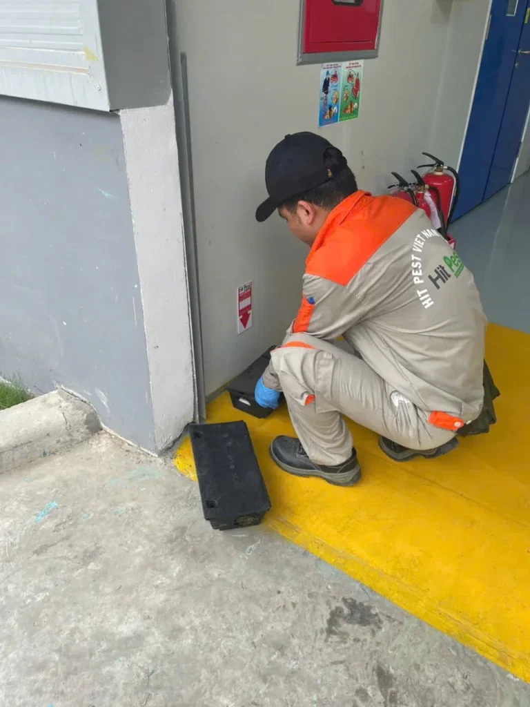 Kỹ thuật viên HIT PEST thao tác với hộp trạm tại vị trí kỹ thuật cạnh lối ra vào công trình